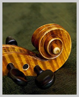 detail of a violin